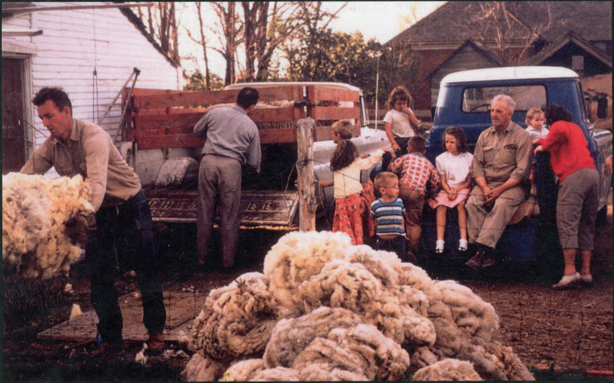 Shearing